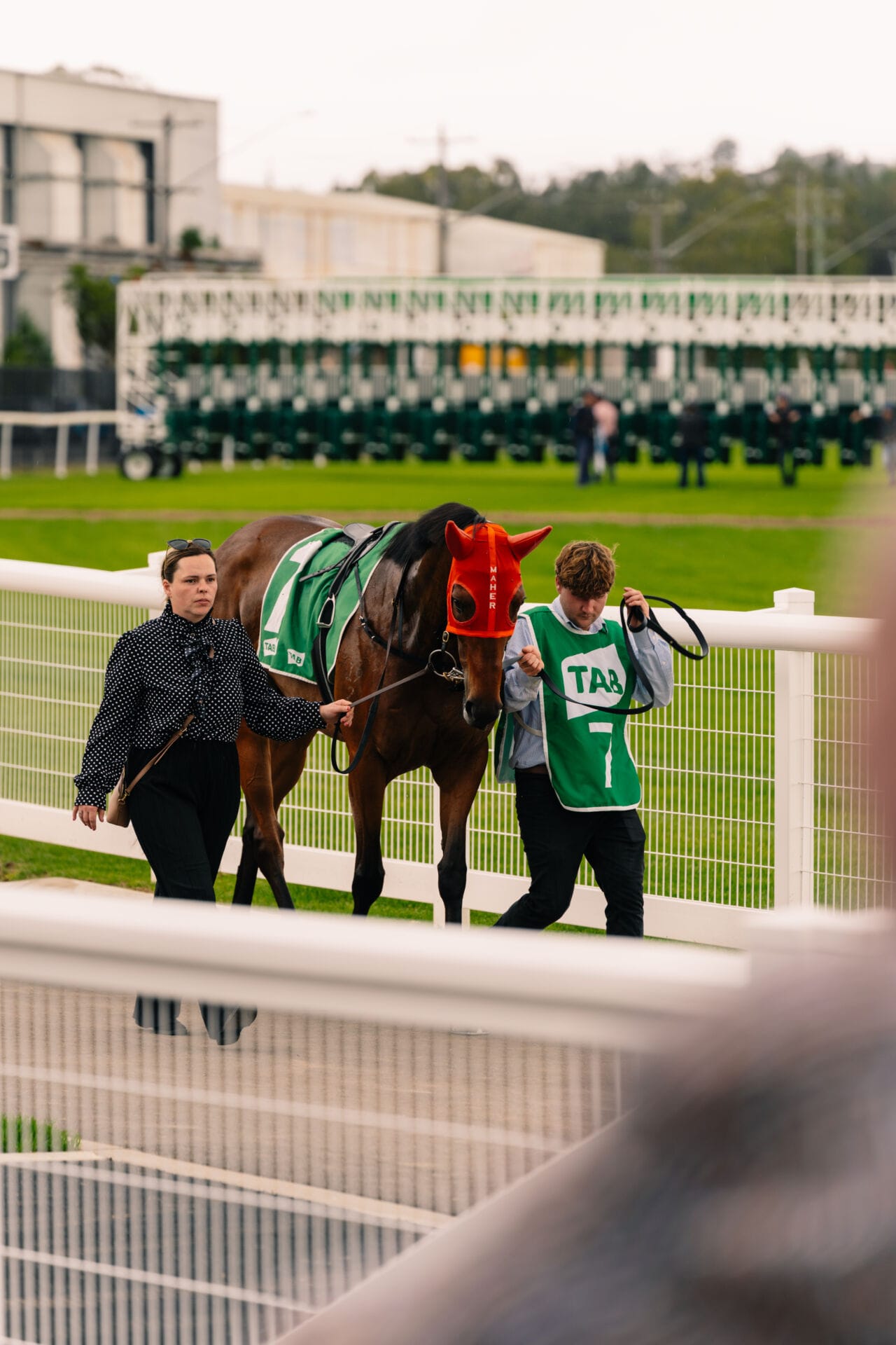 Gosford Race Day