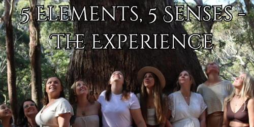 5 Senses, 5 Elements - The Experience
