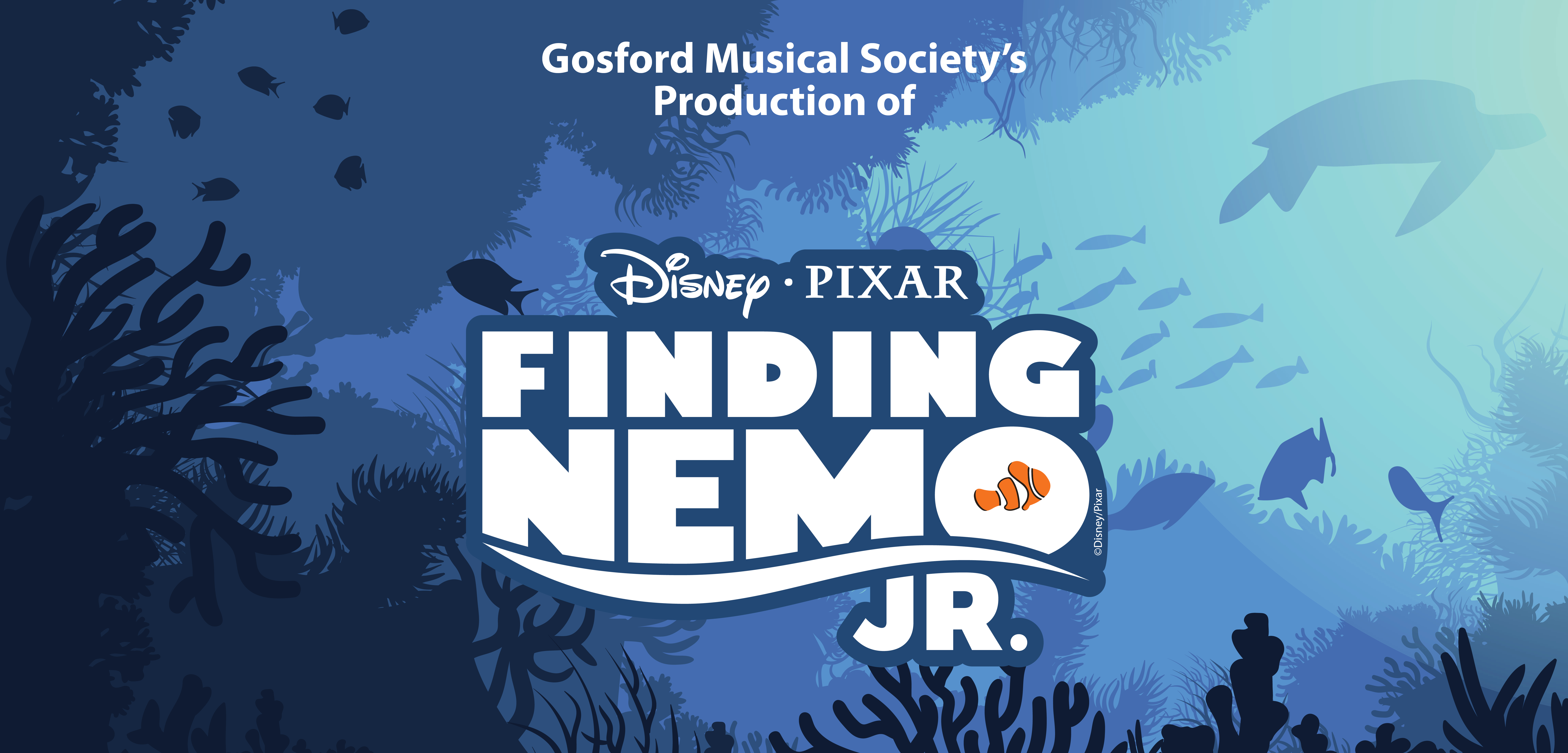 Finding Nemo Jr.