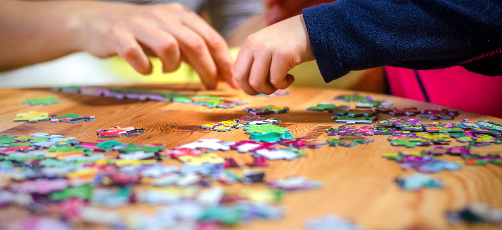 Jigsaw Puzzle Month At Erina Library