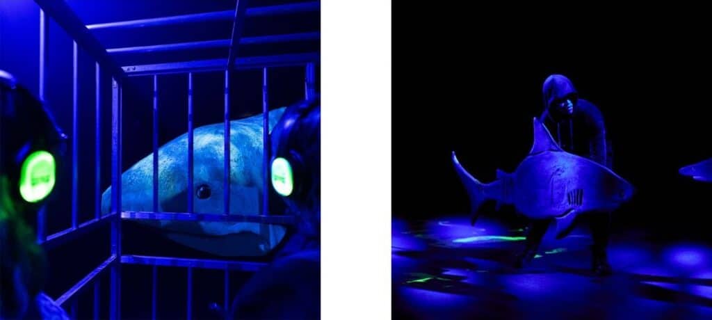Erth’s Shark Dive