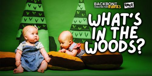What's In The Woods?