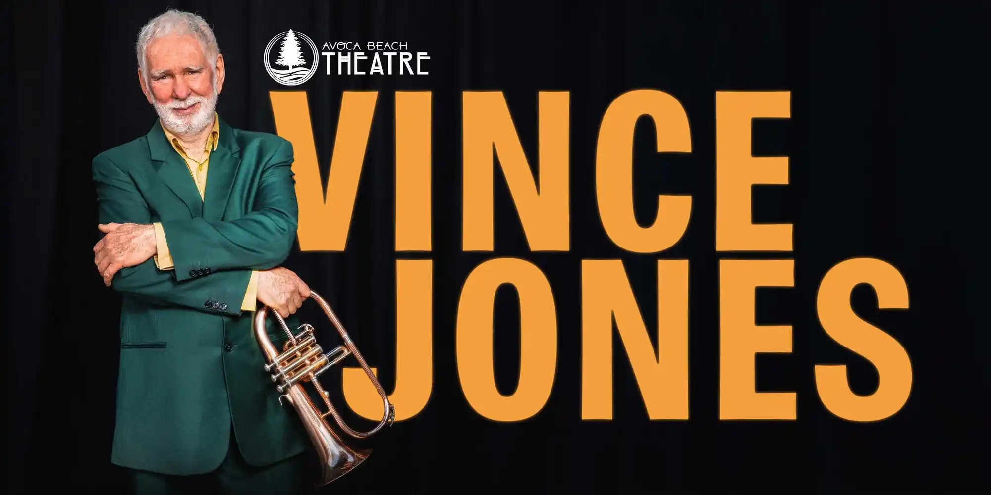 Vince Jones Live & Intimate